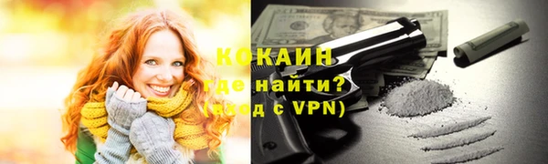 спиды Богородицк