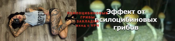 не бодяженный Богданович