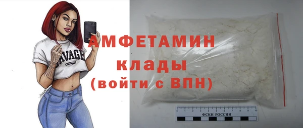 спиды Богородицк