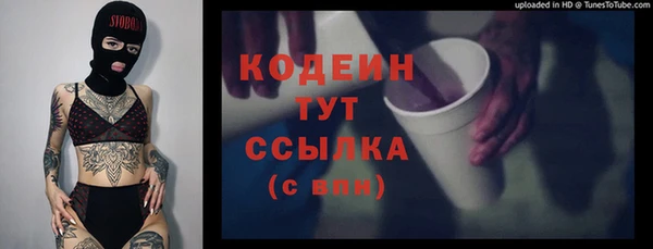 мдпв Инта
