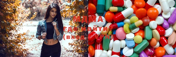 спиды Богородицк
