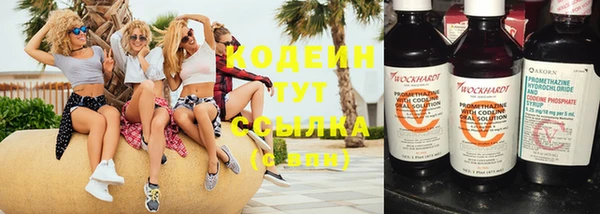 спиды Богородицк