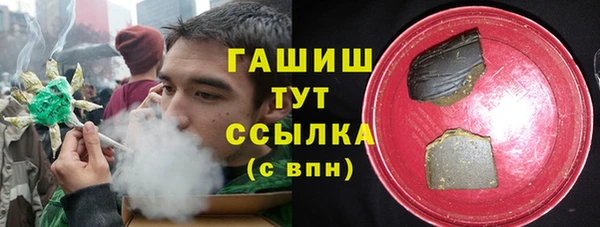 спиды Богородицк