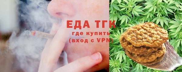 спиды Богородицк