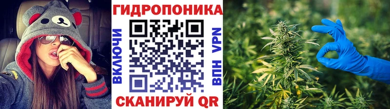 Шишки марихуана OG Kush  Кинешма 